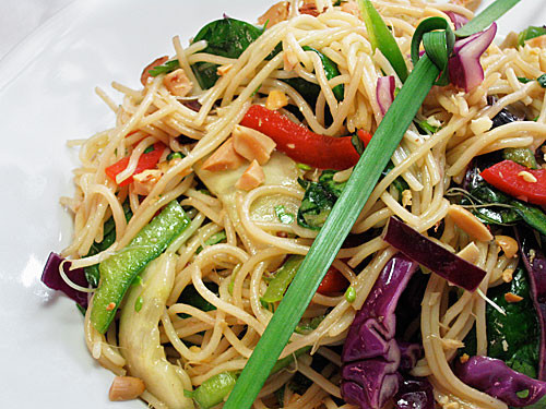 Discover the Delight of Pioneer Woman Asian Noodle Salad