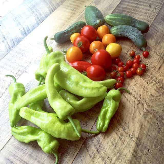 fresh vegetable garden haul of banana peppers, tomatoes and cucumbers.