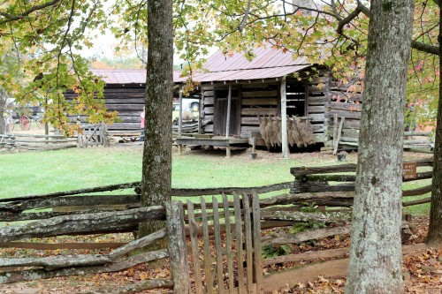A field of log cabins, illustrating the expansive and authentic pioneer village setting in NC