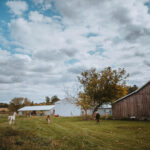 Bride and groom smiling at each other during their Pioneer Creek Farm wedding ceremony.