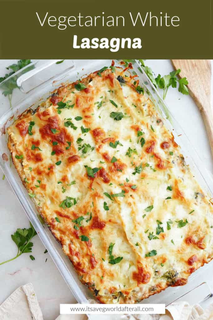 Vegetable Lasagna with White Sauce ready to bake in a casserole dish