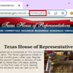 file extension website technology